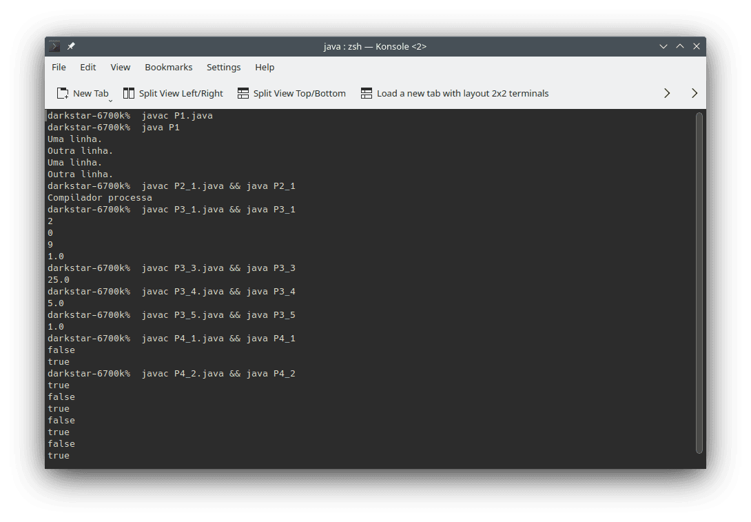 Examples of uses and outputs from code snippets presented in this section using the `javac` compiler to generate Java bytecode, which is used then ran by the `java` interpreter to compute the results. The output consists of the results obtained from running the programs in the `zsh` interpreter using `Konsole` on Linux.