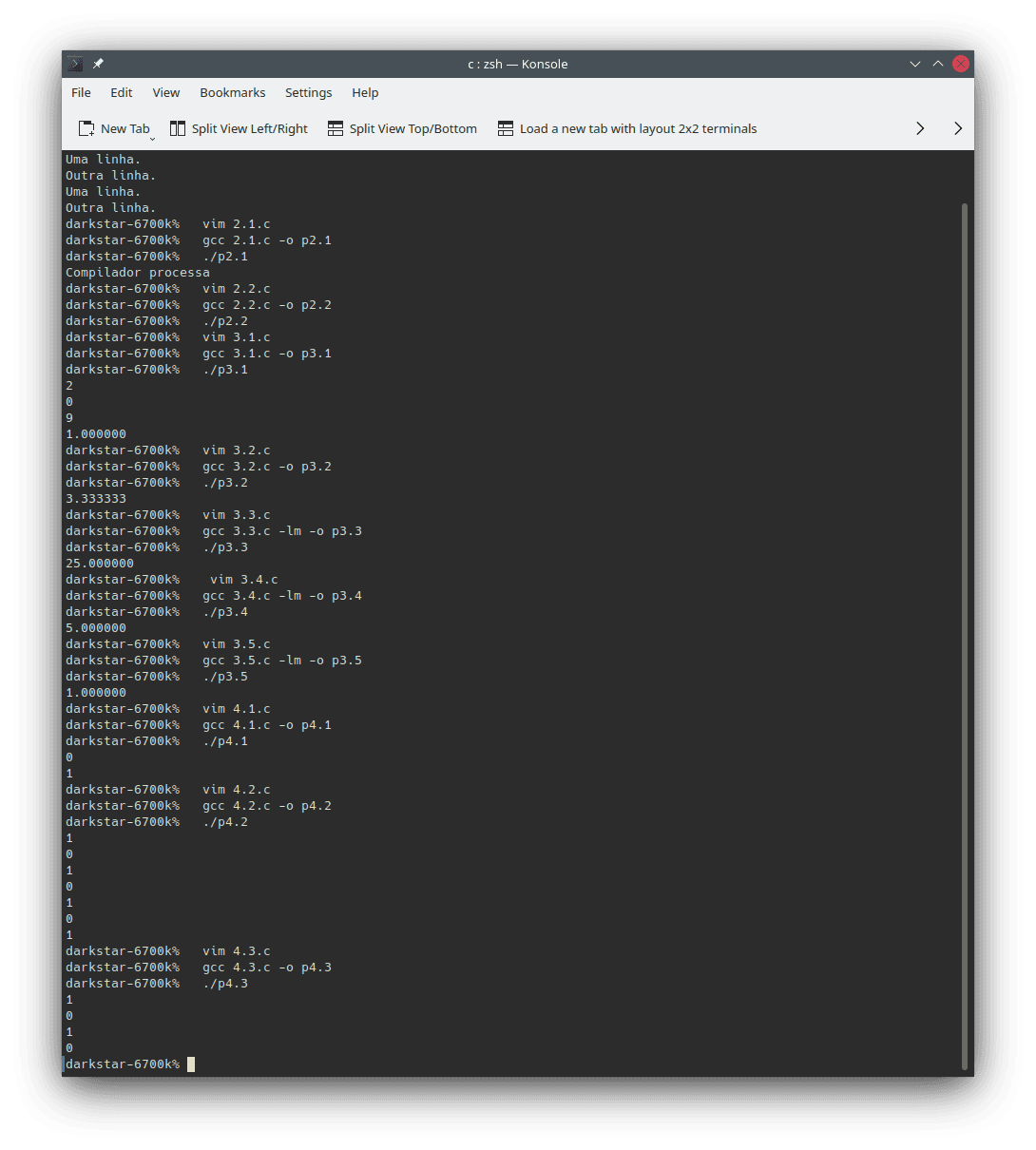 Examples of uses and outputs from code snippets presented in this section using the `gcc` compiler to generate programs using the command line. The output consists of the the results obtained from running the programs in the `zsh` interpreter using `Konsole` on Linux.