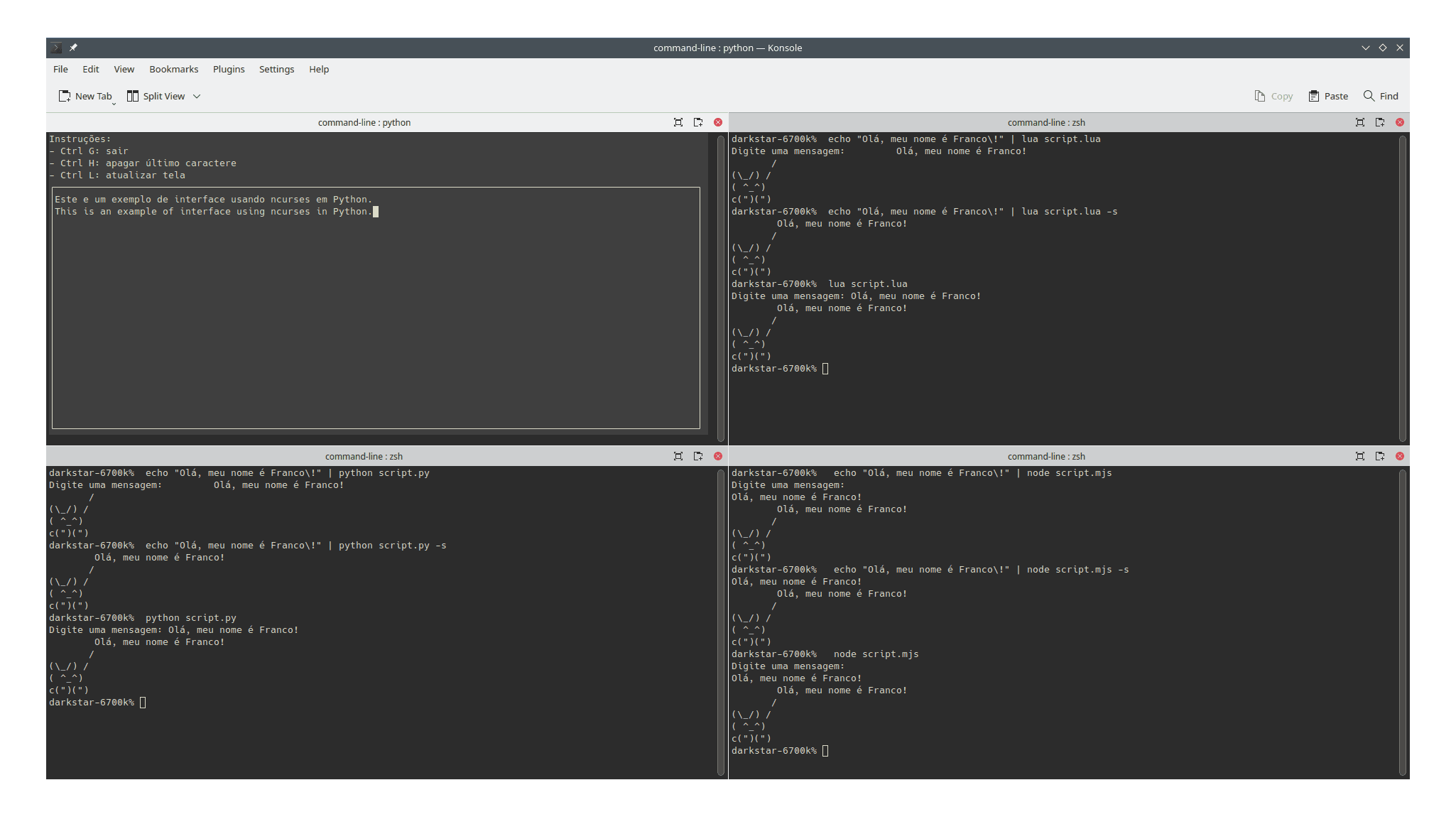 Shell Programming Command Line Arguments